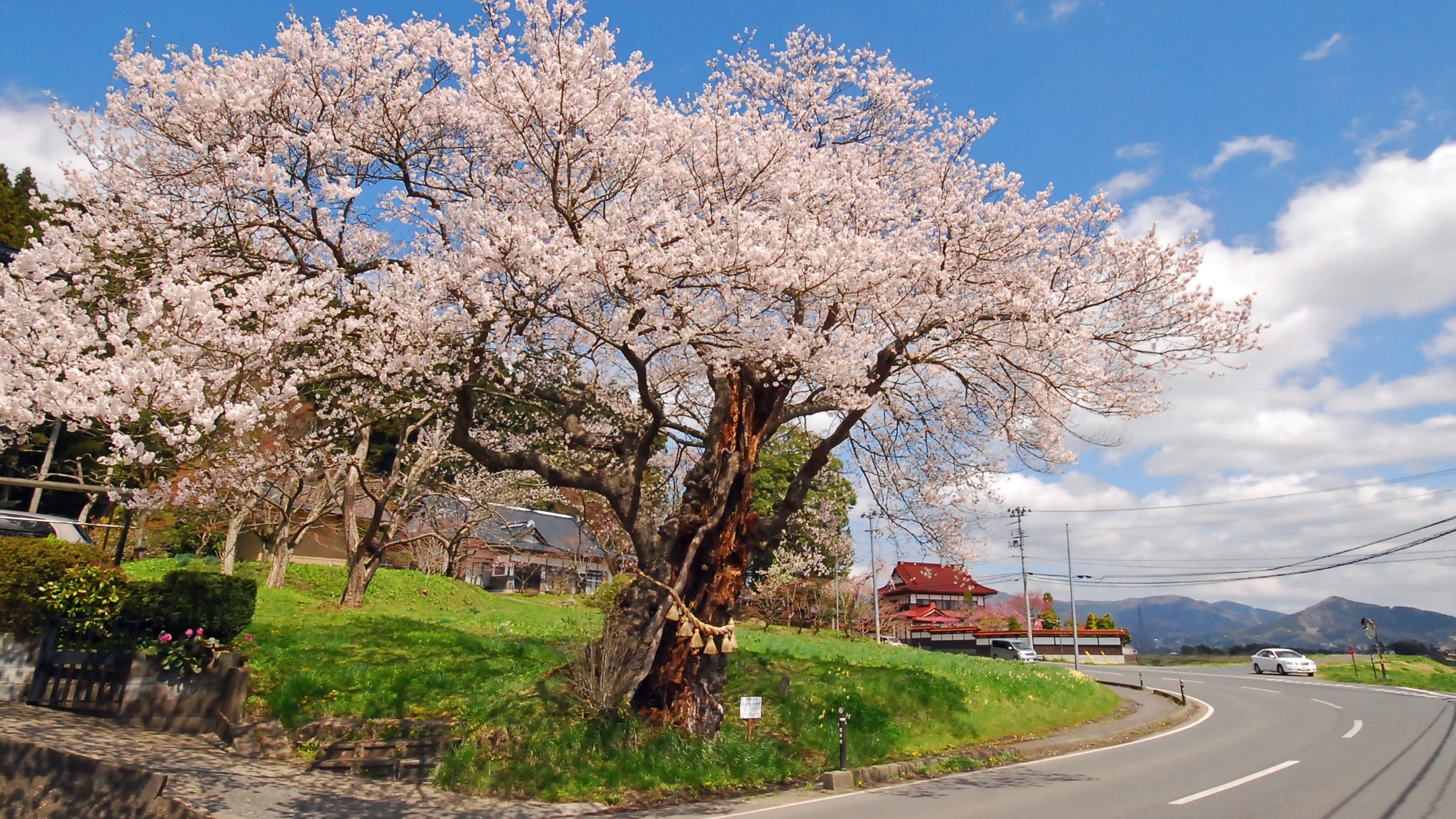 Accommodation environment_Spring