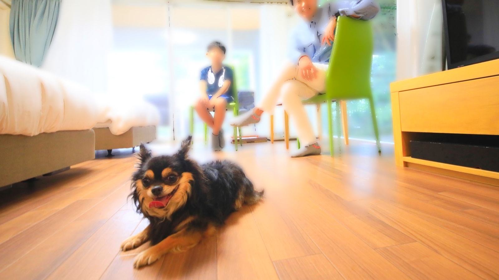 [此房型可預訂至6月30日] ≪寵物友善客房≫ 軟墊地板確保您和您的家人都能享受舒適的住宿環境。