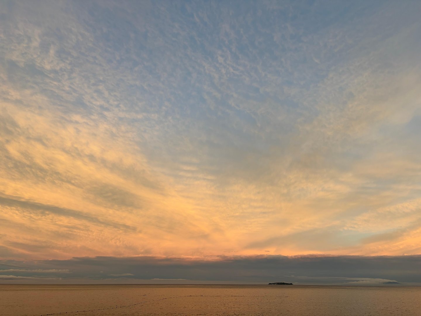 IMG_1240.jpeg