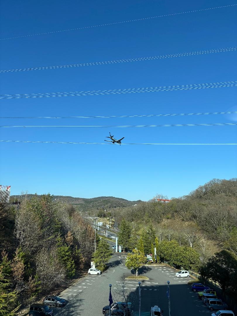 6022FC8F-43EA-4C08-8D06-B2201243DE0D.jpeg
