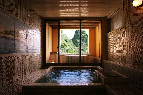 Private bath with ocean view