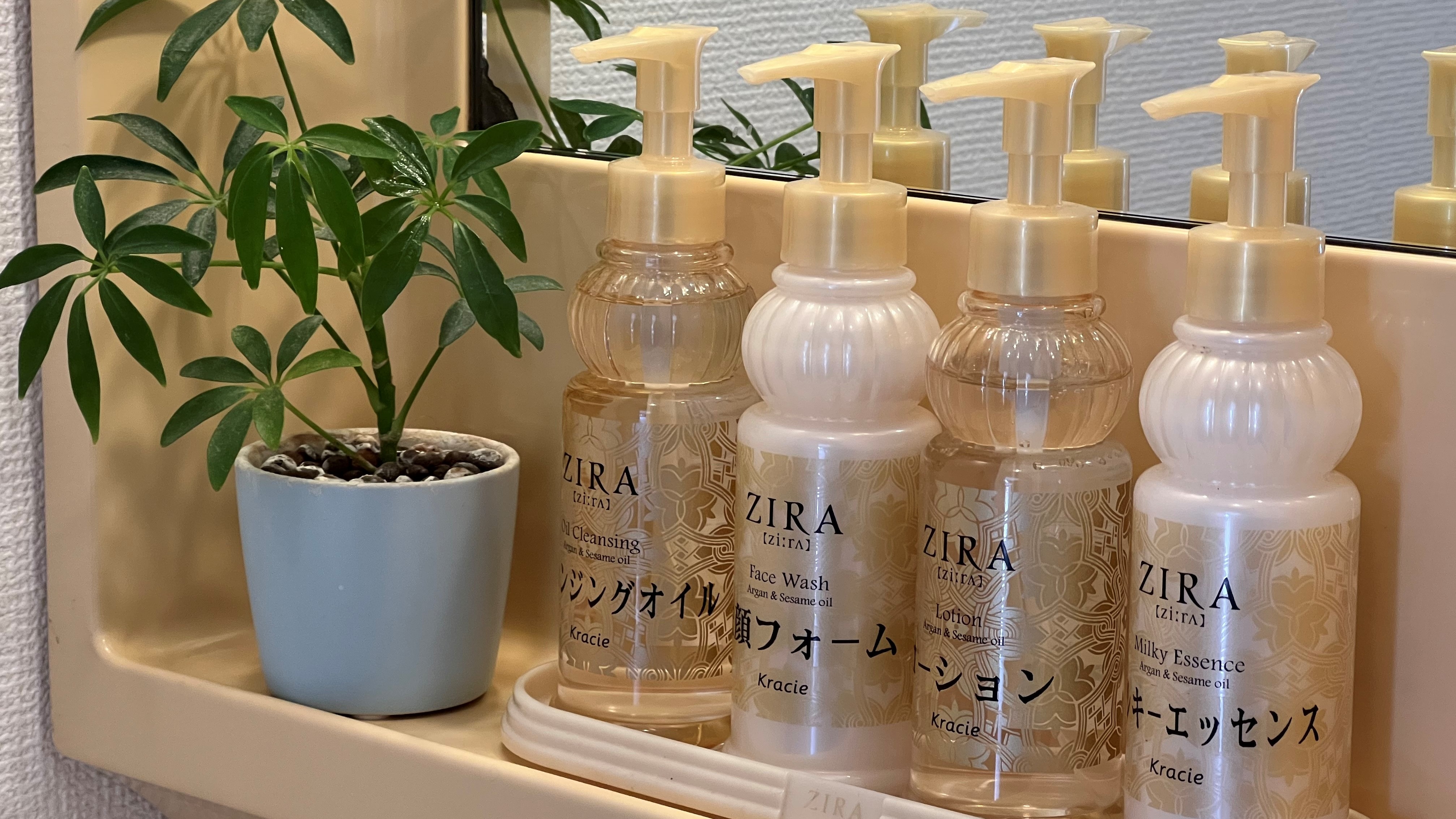 Annex bathroom amenities