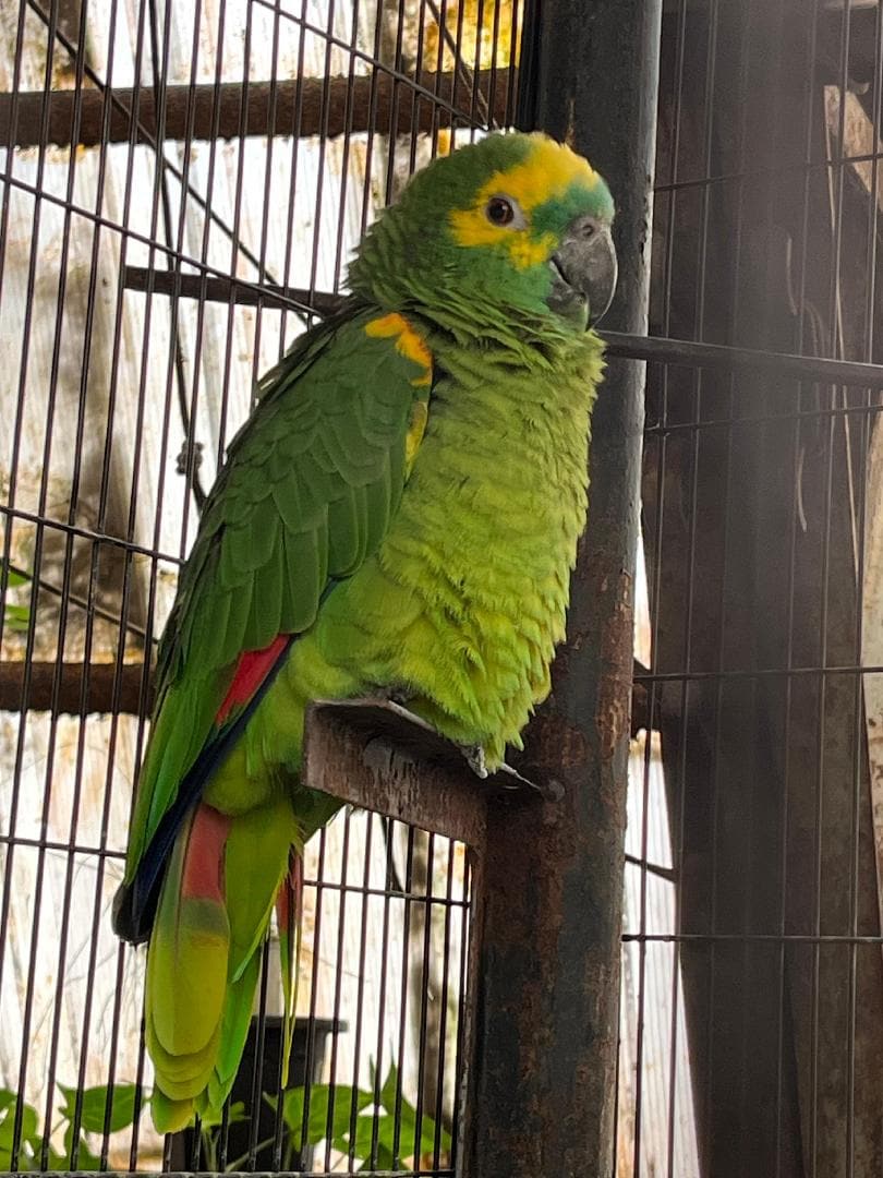 profile