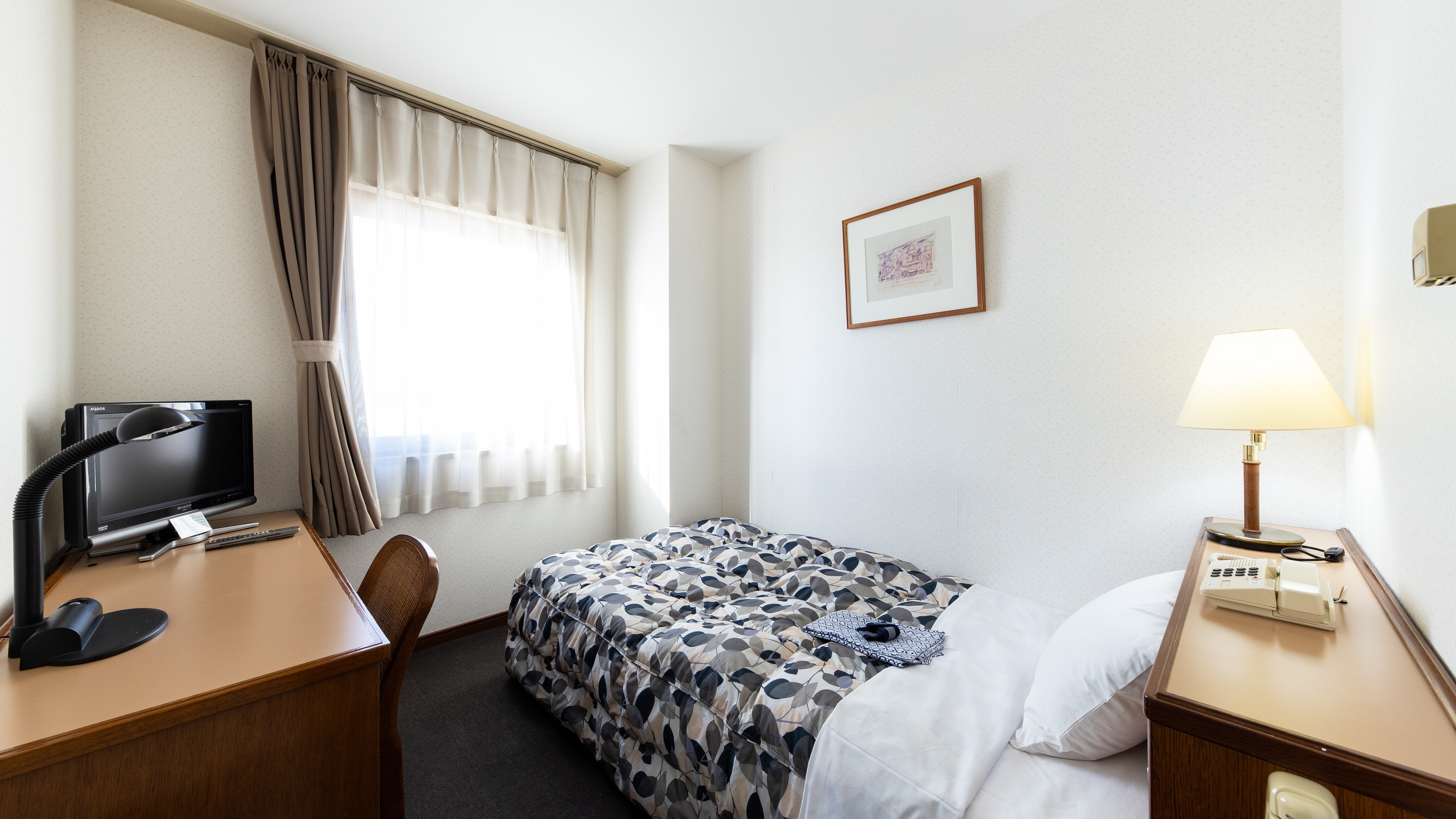 Single room. A room perfect for business use with a convenient desk.