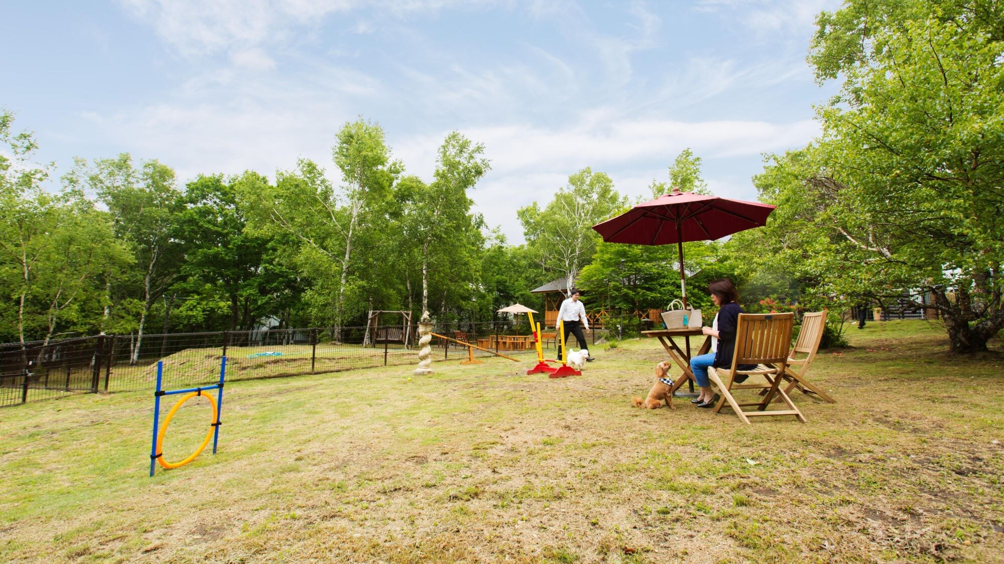 [Dog Park] Usage image