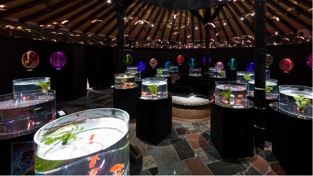 水族館（水下天堂）