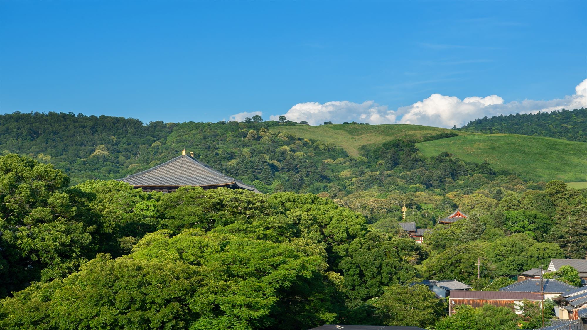 靠近东大寺和奈良公园