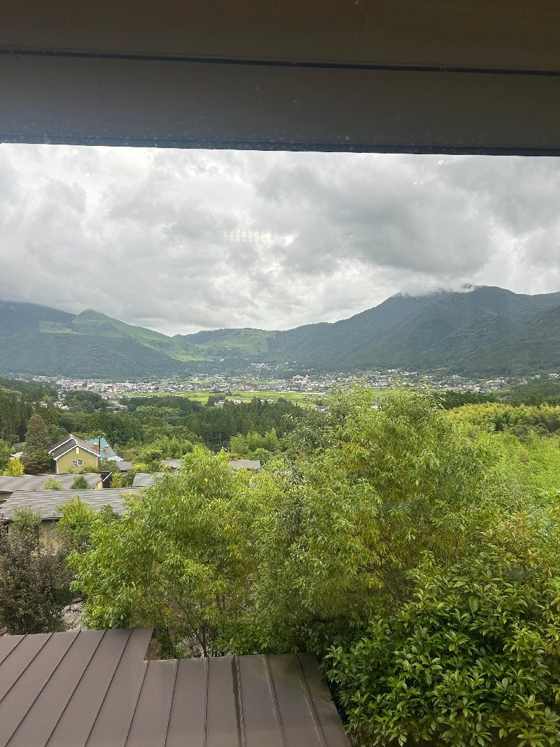 IMG_4110.jpeg
