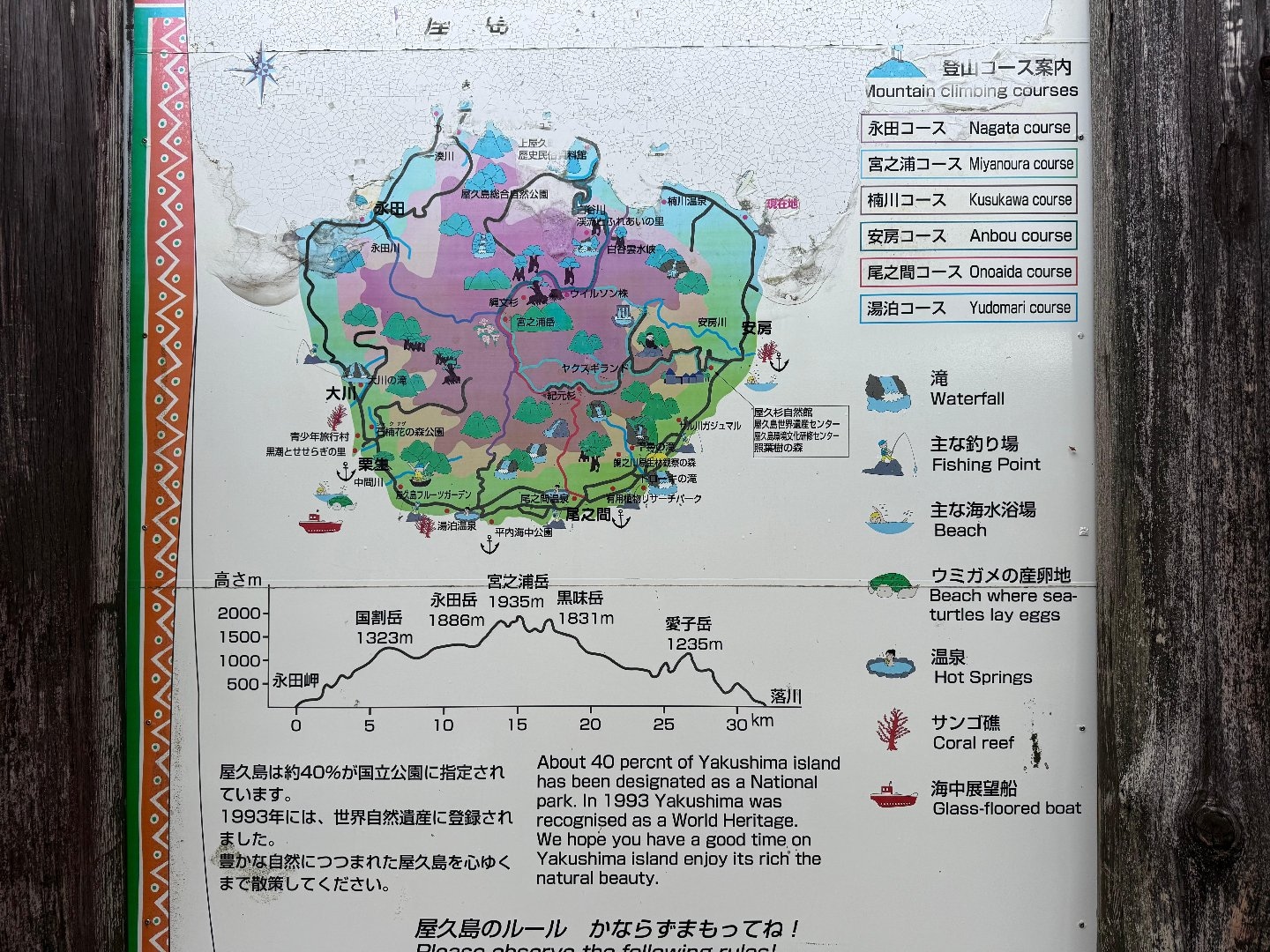 BF46E281-89BF-4C41-973A-A7629EB7B731.jpeg