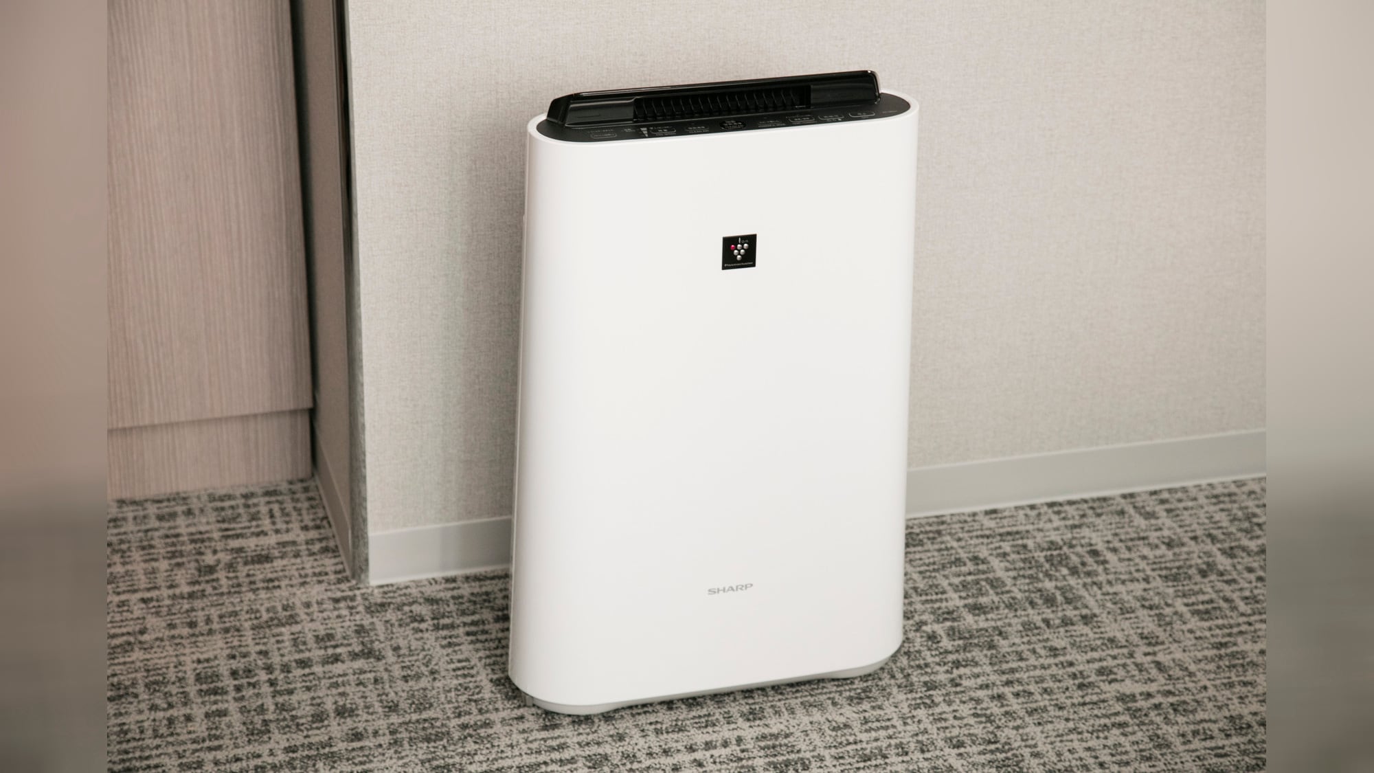 Air purifier with humidifier function