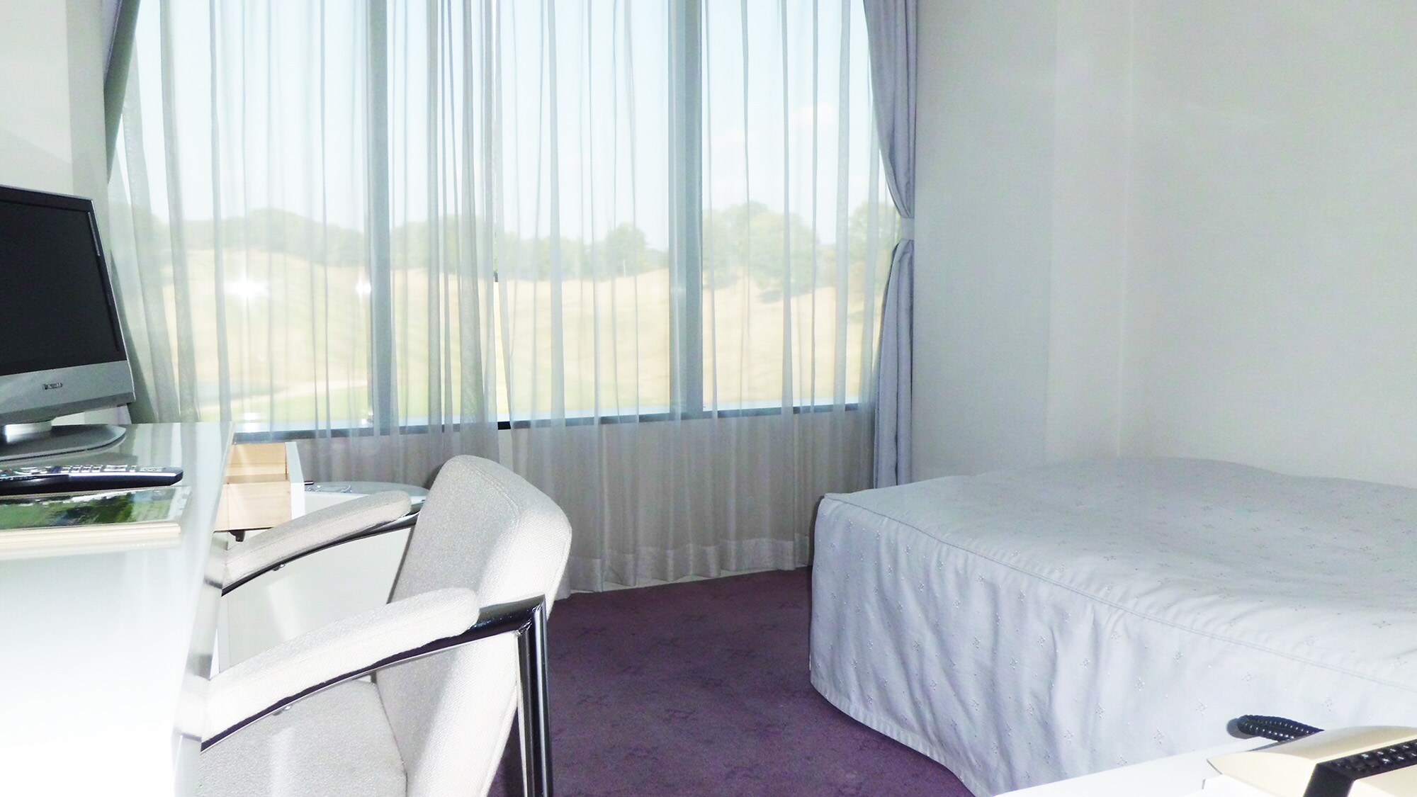 * Single room (example)