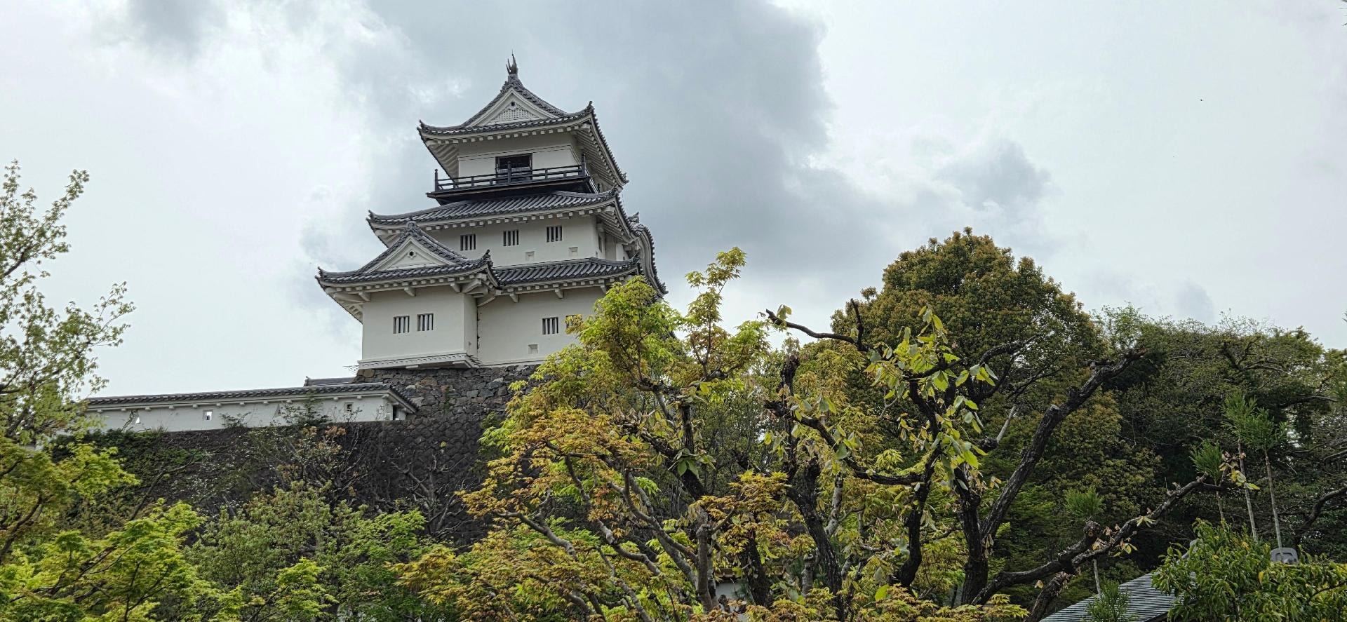 掛川城　20260409_132705.jpg