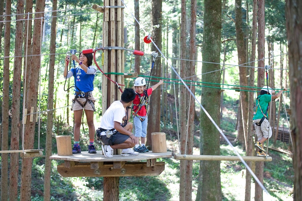 A canopy course that can be experienced by anyone from 110cm tall!