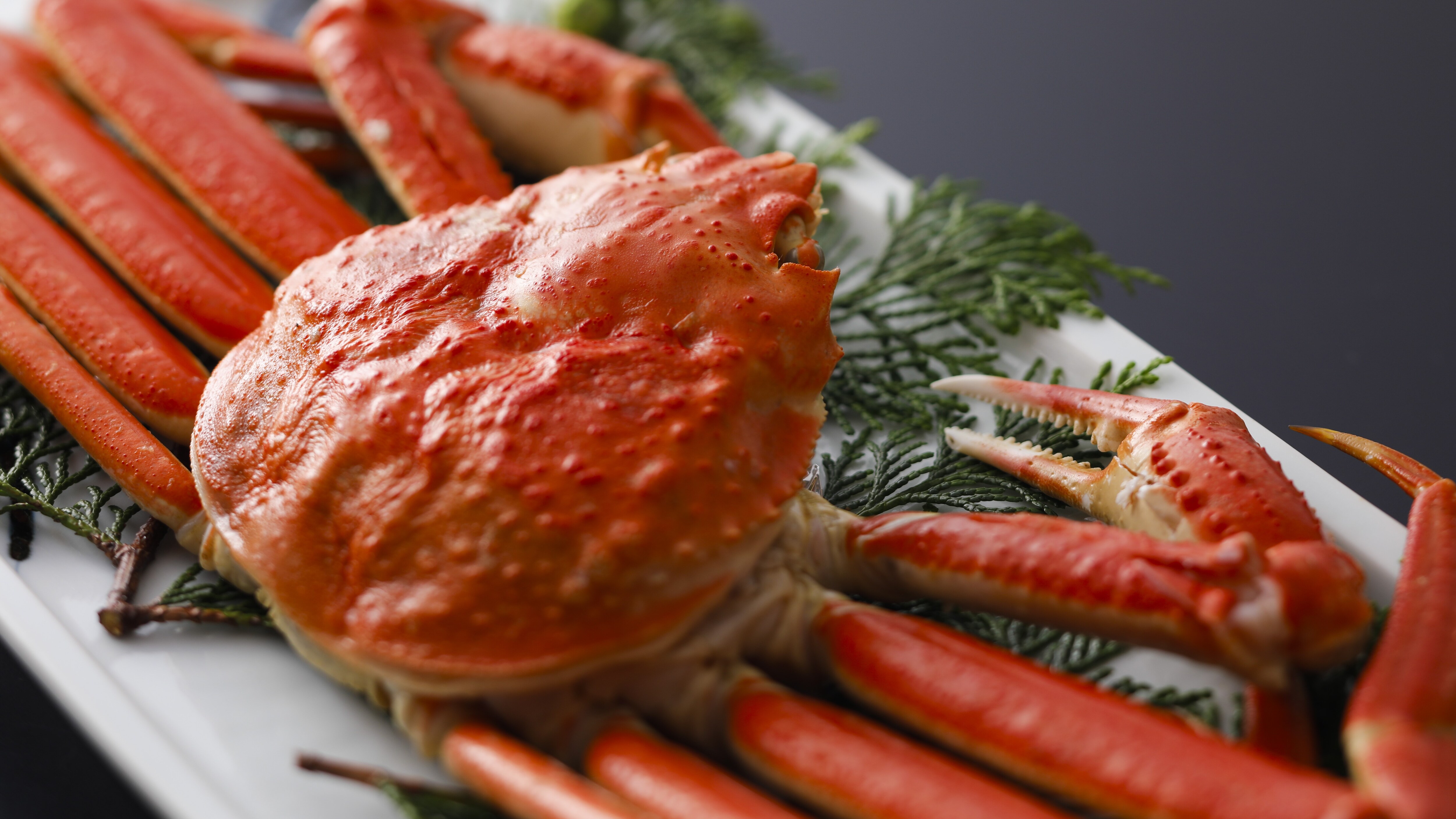 [Winter dish] Boiled snow crab (example)