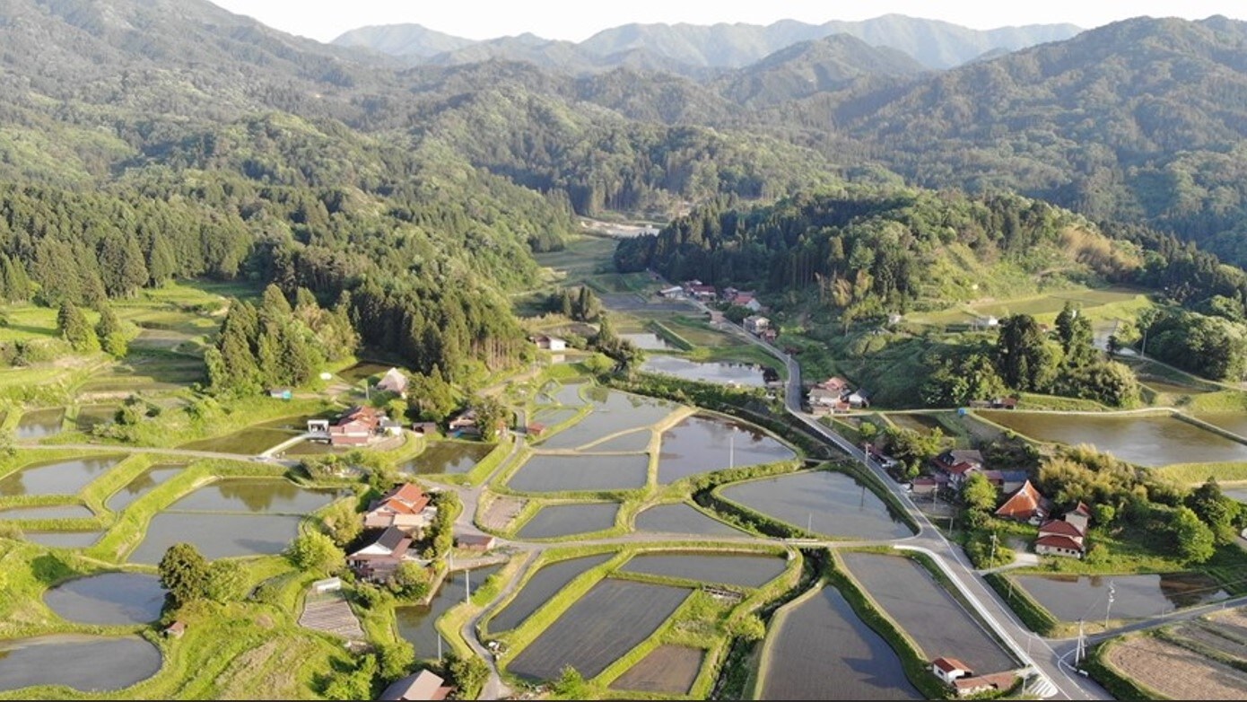 Fukuyori Rice Terraces