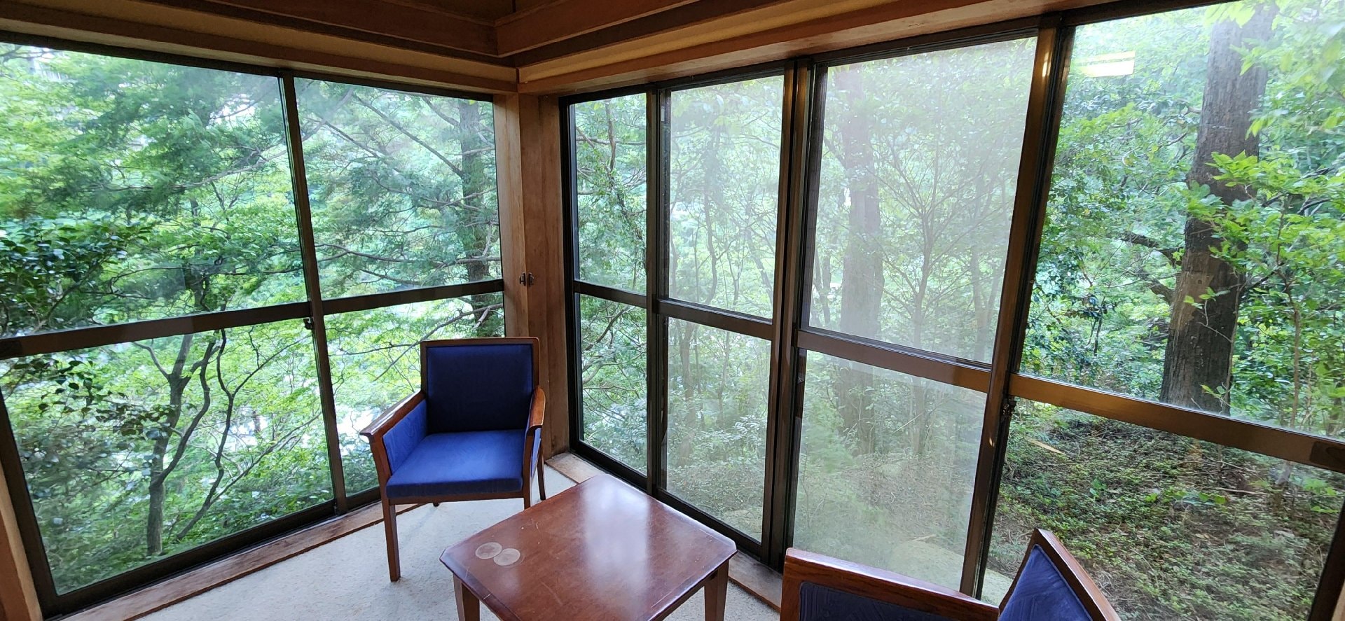 1000076387.jpg