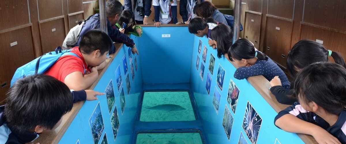 辰串观光轮船④