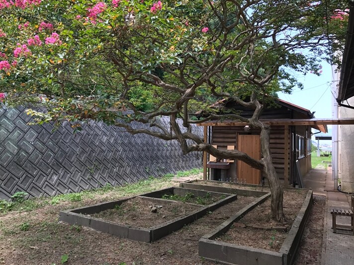 kebun