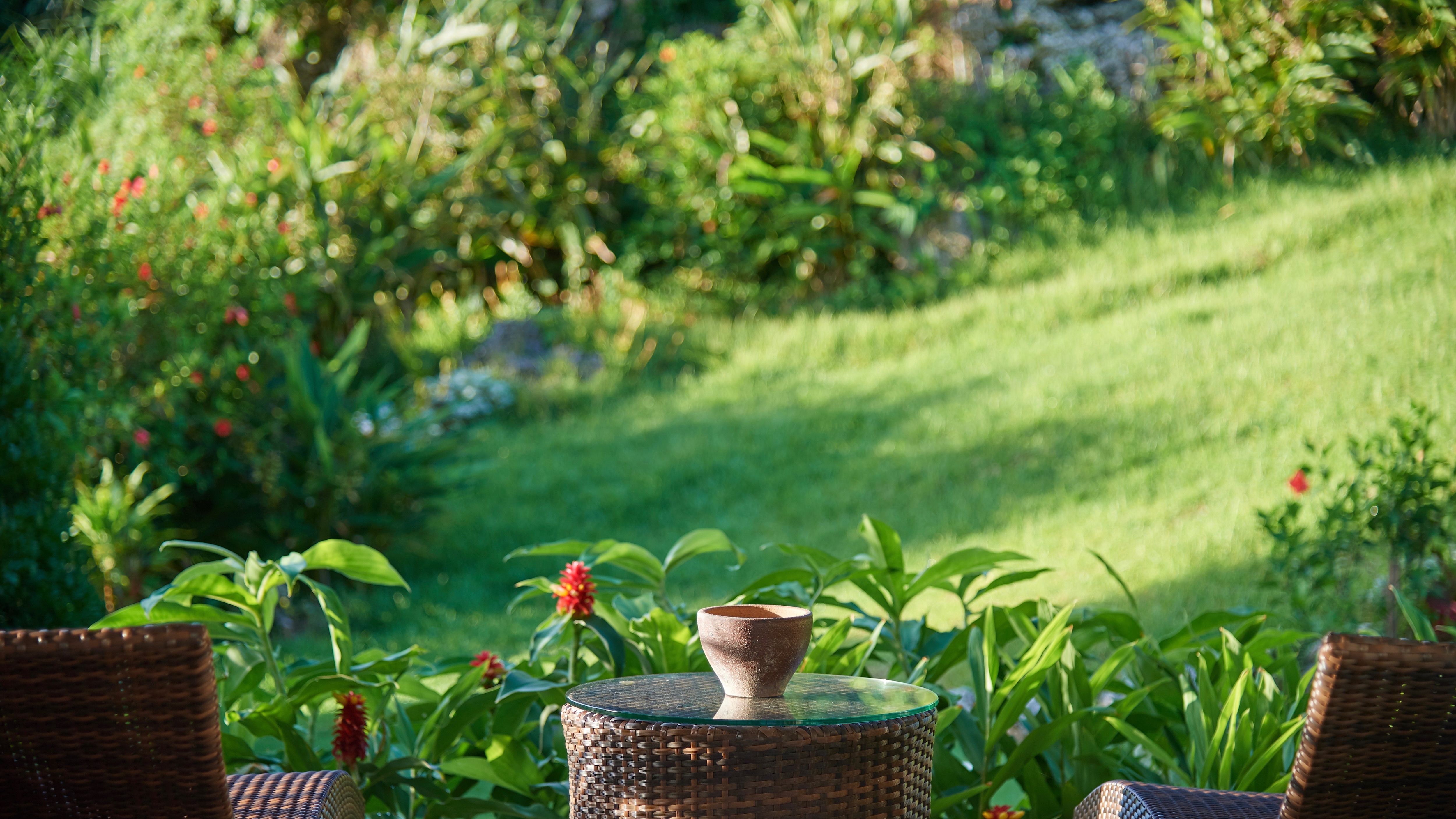 Mountainside terrace