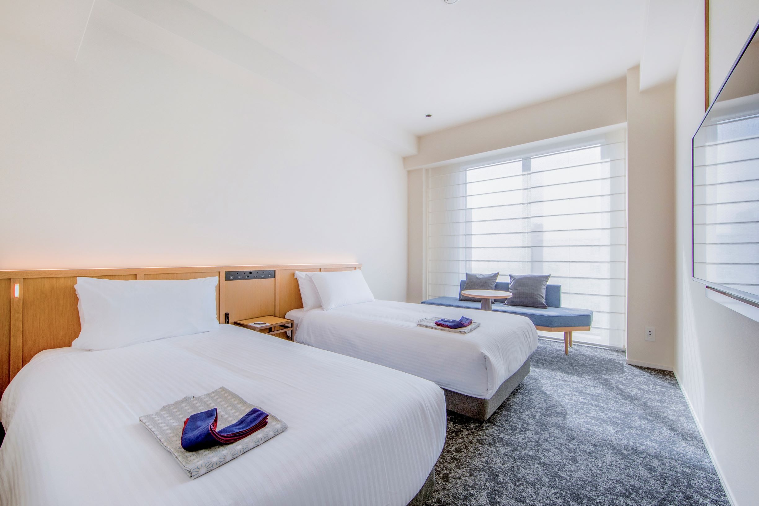 Superior Twin Bed Room
