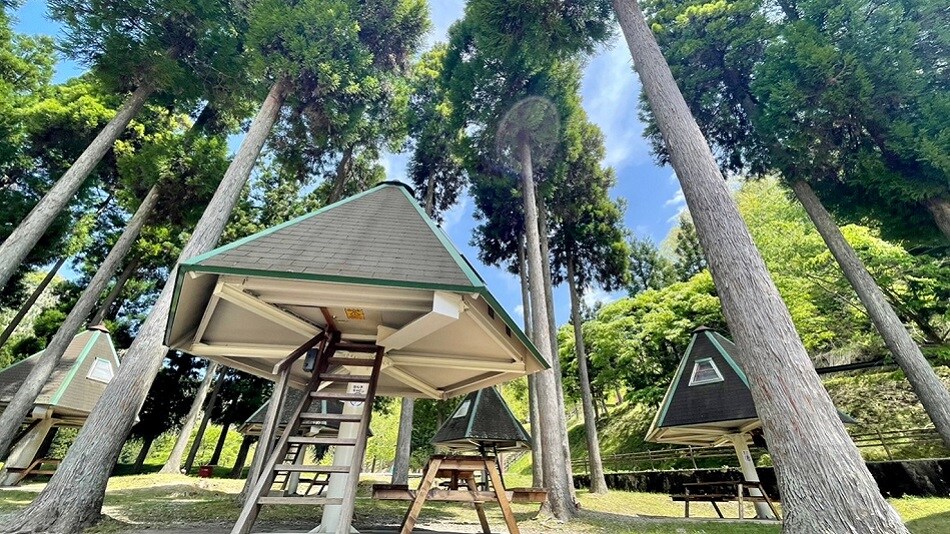 杉金湖小屋