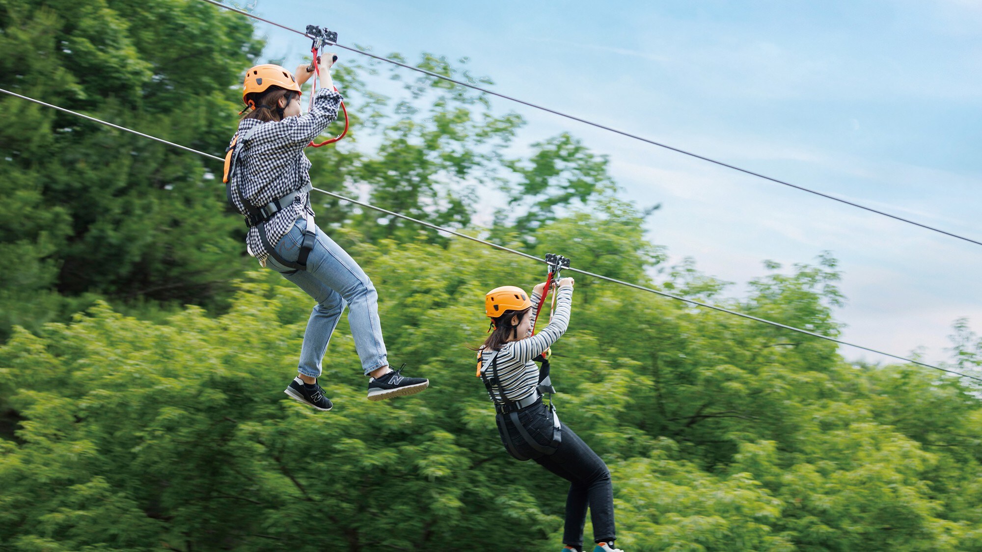 Zipline_ZIPshuzenZIP