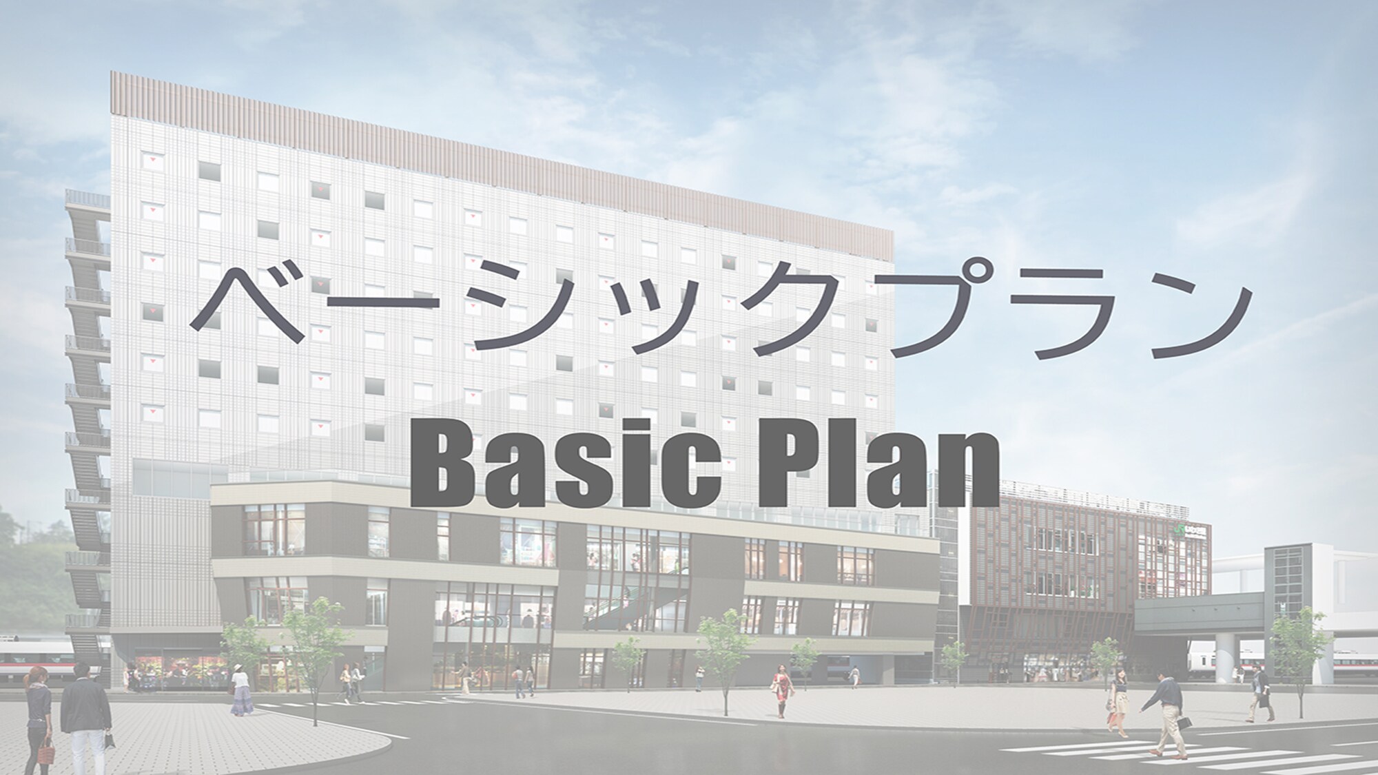 Basic Plan