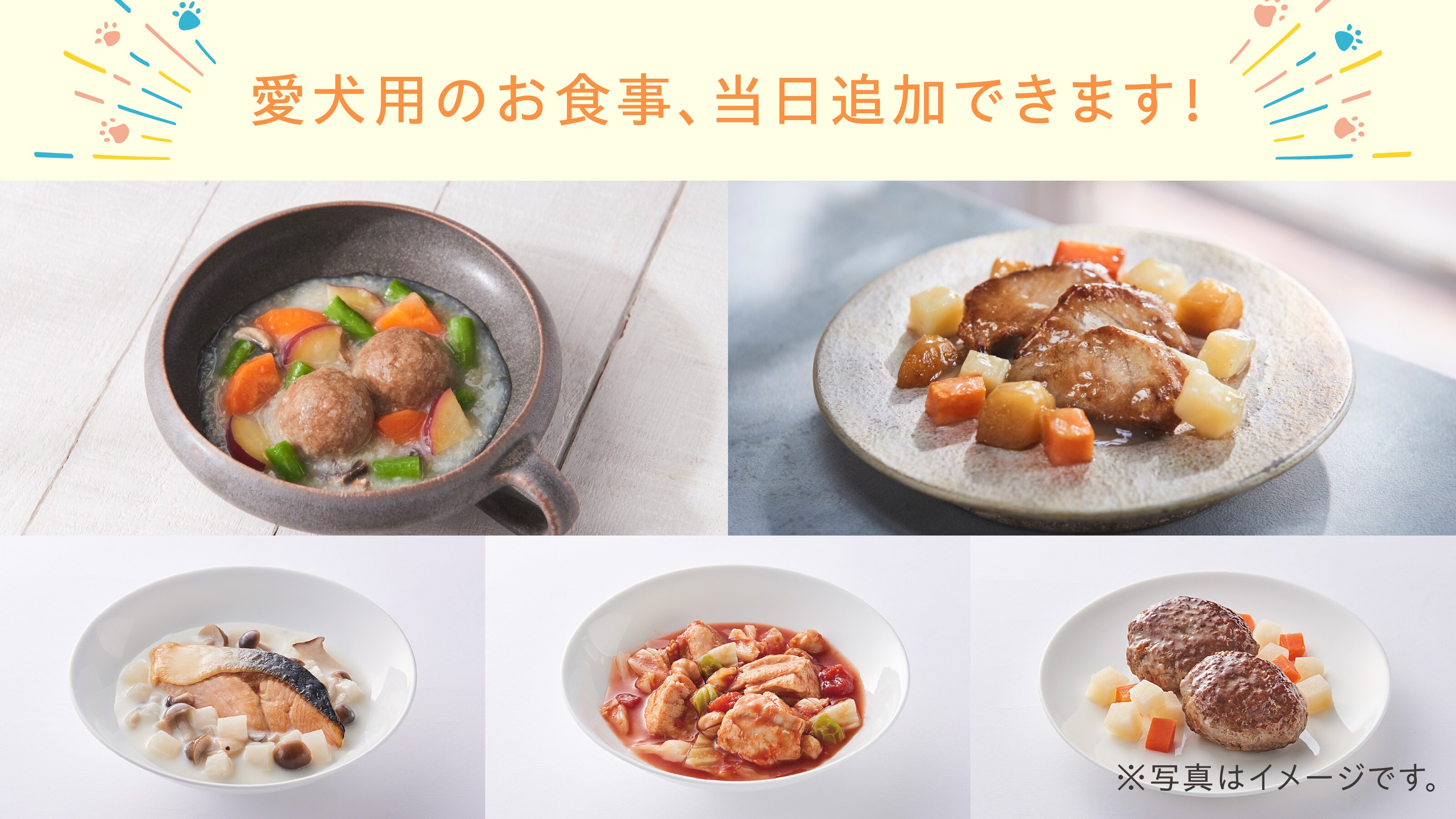 狗糧