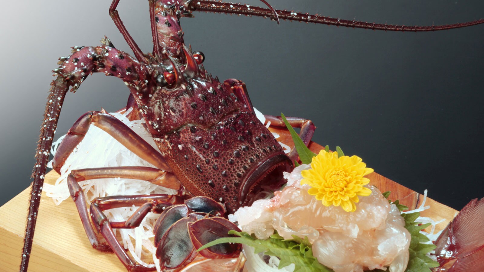 Spiny lobster sashimi