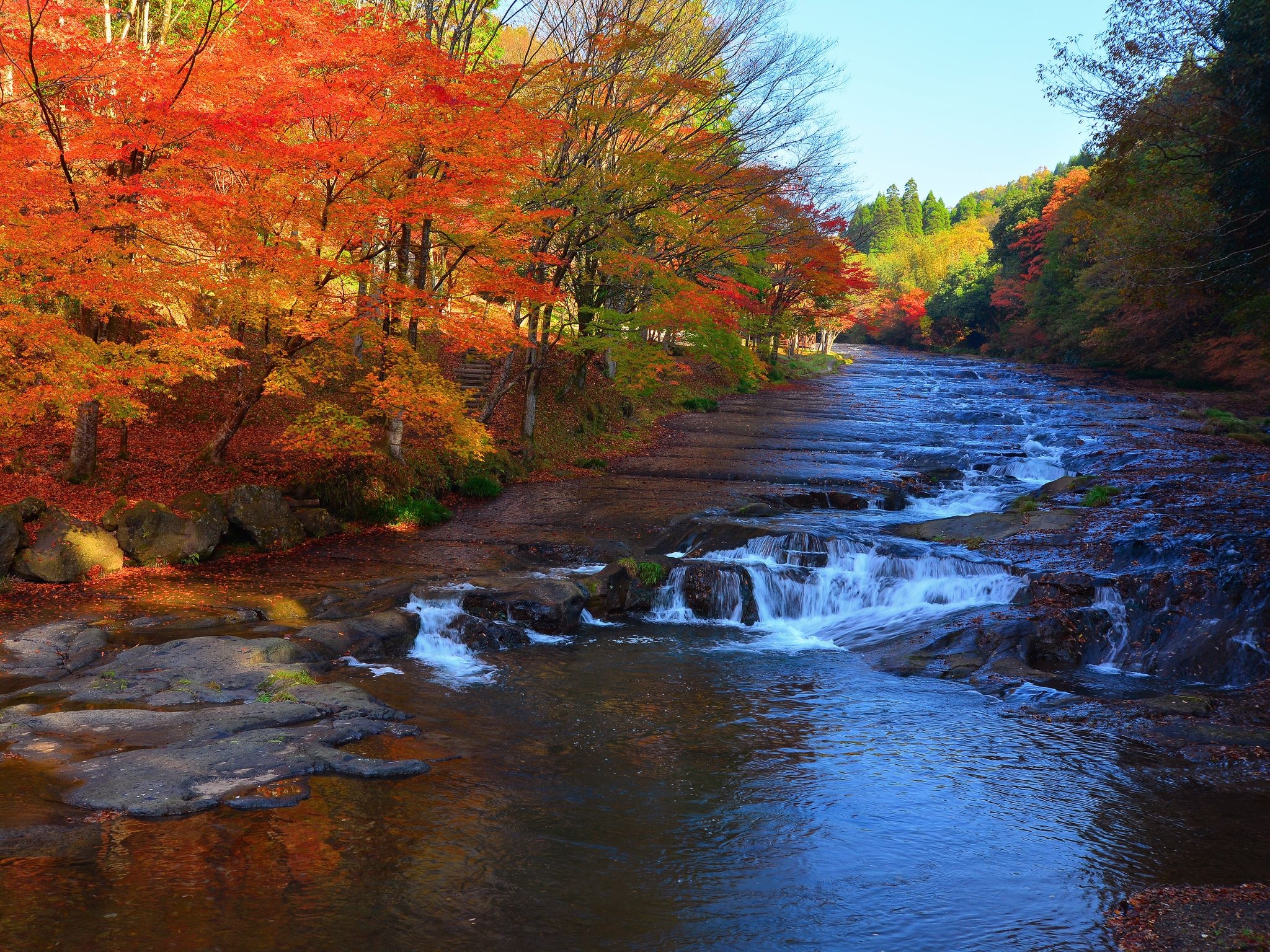 [Ngarai Yusuikyo] Salah satu tempat terbaik di Kyushu untuk menikmati pemandangan dedaunan musim gugur. Waktu terbaik untuk melihatnya biasanya dari akhir Oktober hingga awal November. Foto milik Federasi Pariwisata Prefektur Kumamoto