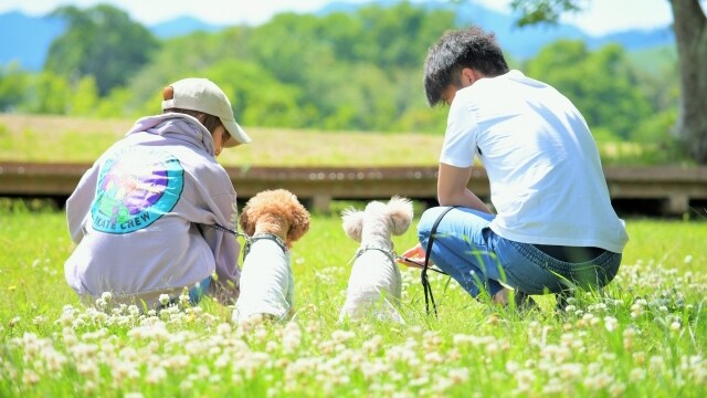 Enjoy your pet dog with your family!