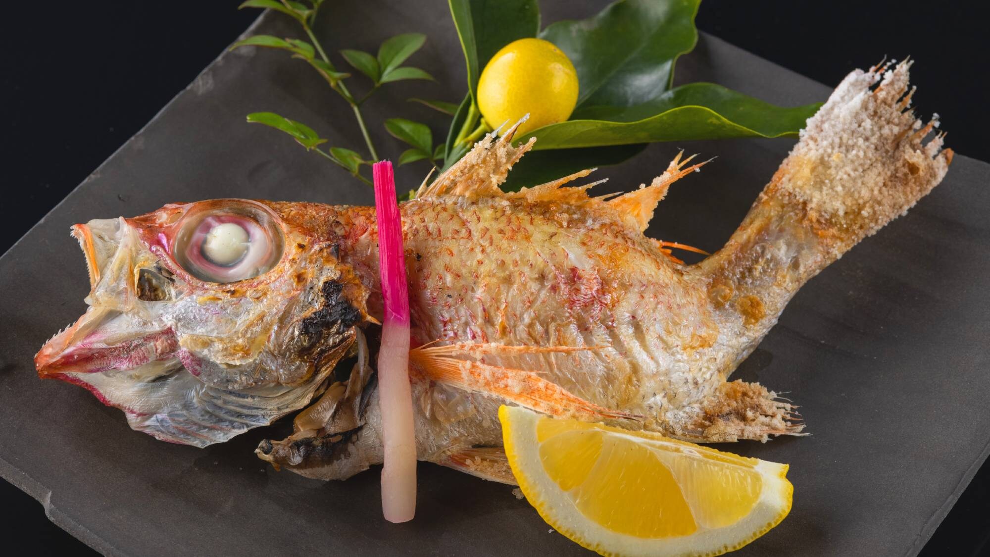 [Kiwami Kaiseki] สึชิมะเป็นหนึ่งในผู้ผลิต "โนโดกุโระ" ชั้นนำของญี่ปุ่น ของอร่อยเลิศนำเข้าจากสึชิมะที่หาได้ยาก