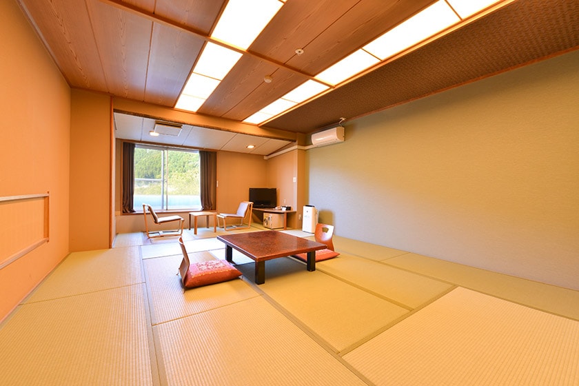 Standard Japanese-style room with shower only (Awayuseikan)