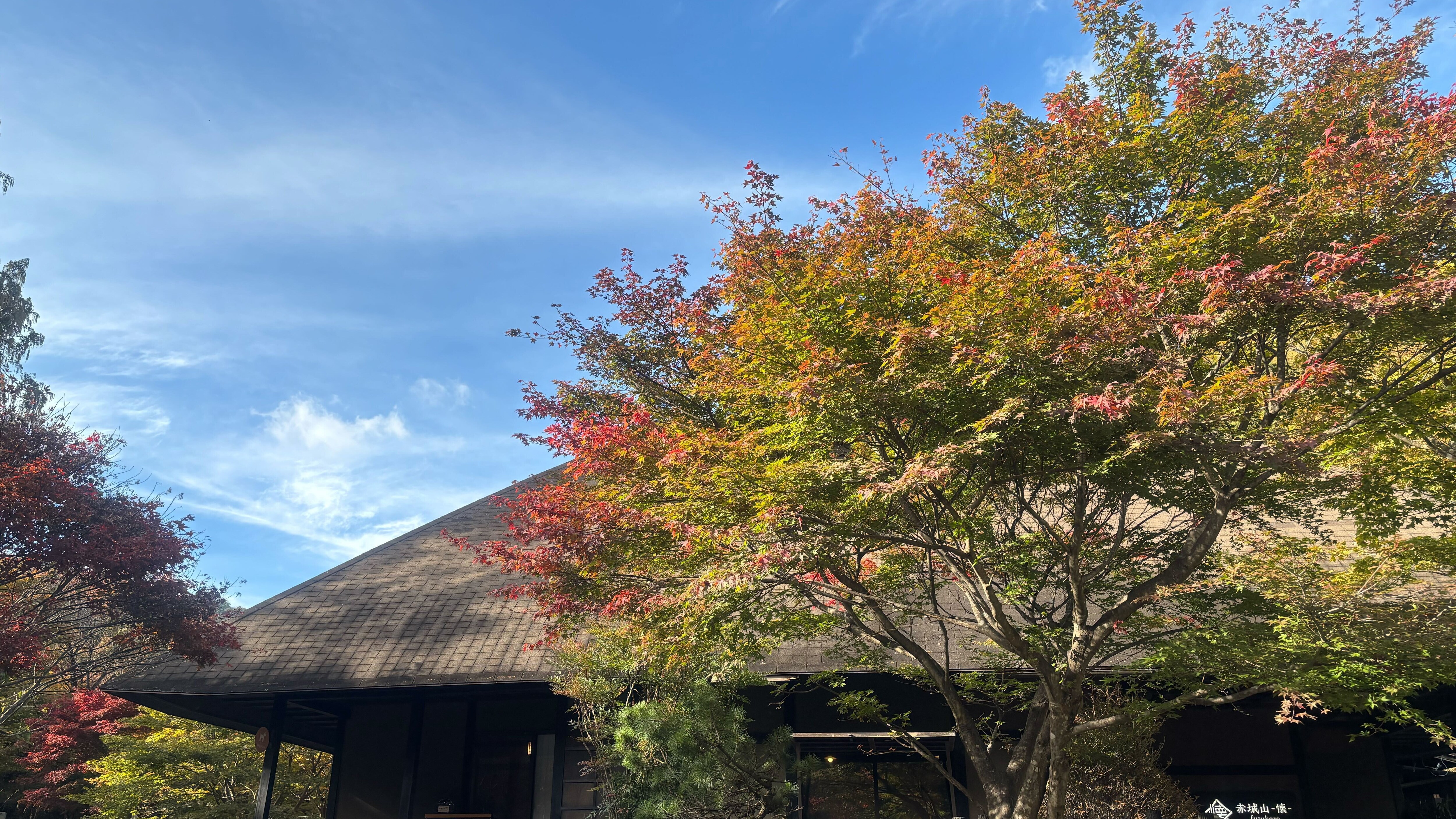 Autumn leaves at the entrance