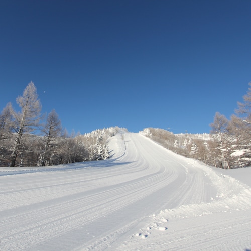 ■ [冬天]最好的雪質，志賀高原。