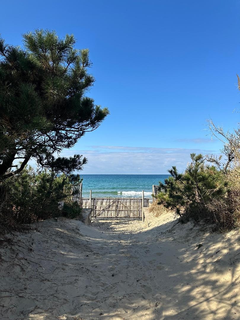 Path to the sea