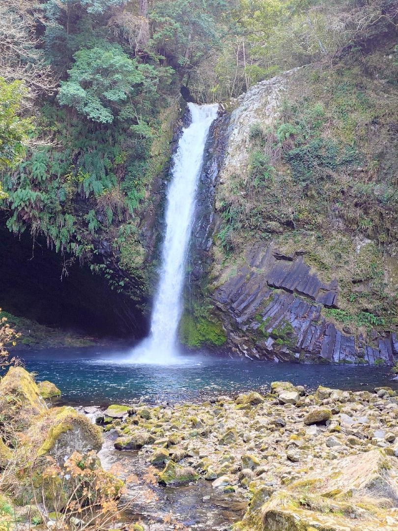 20260110 伊豆天城浄蓮の瀧①.JPG