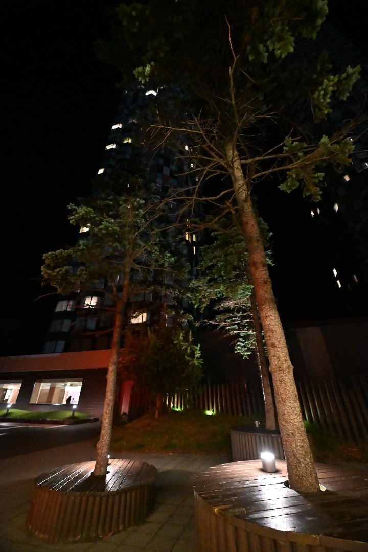 Z52_1241.JPG