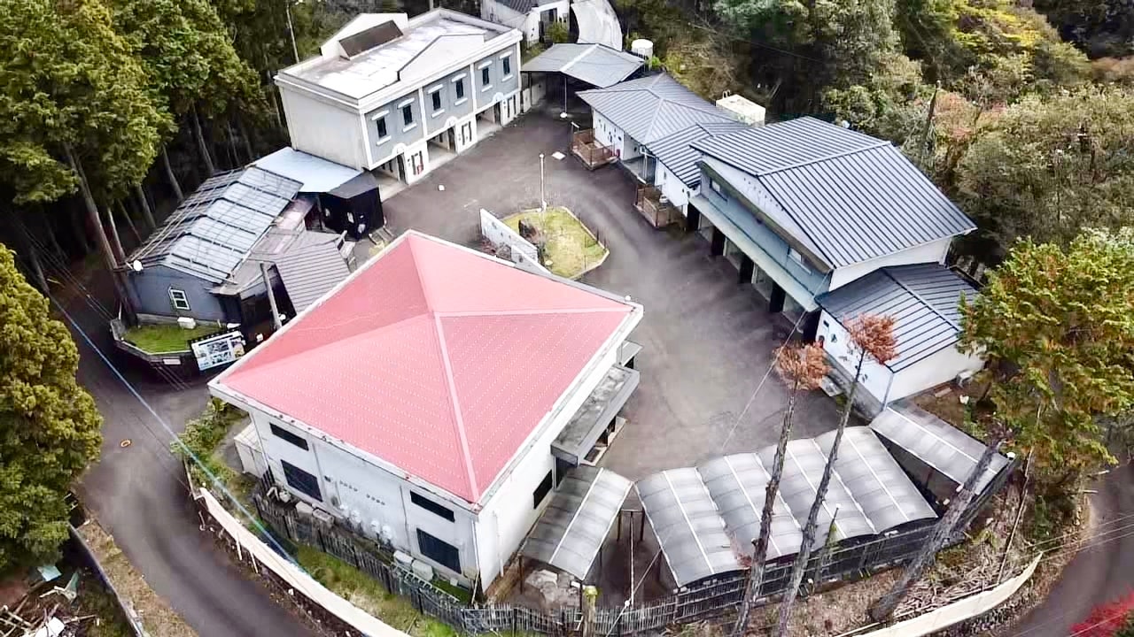 Free Days Resort Sakurasanri