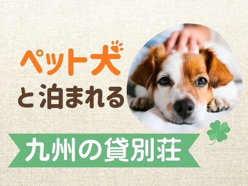 Pet-friendly vacation rentals