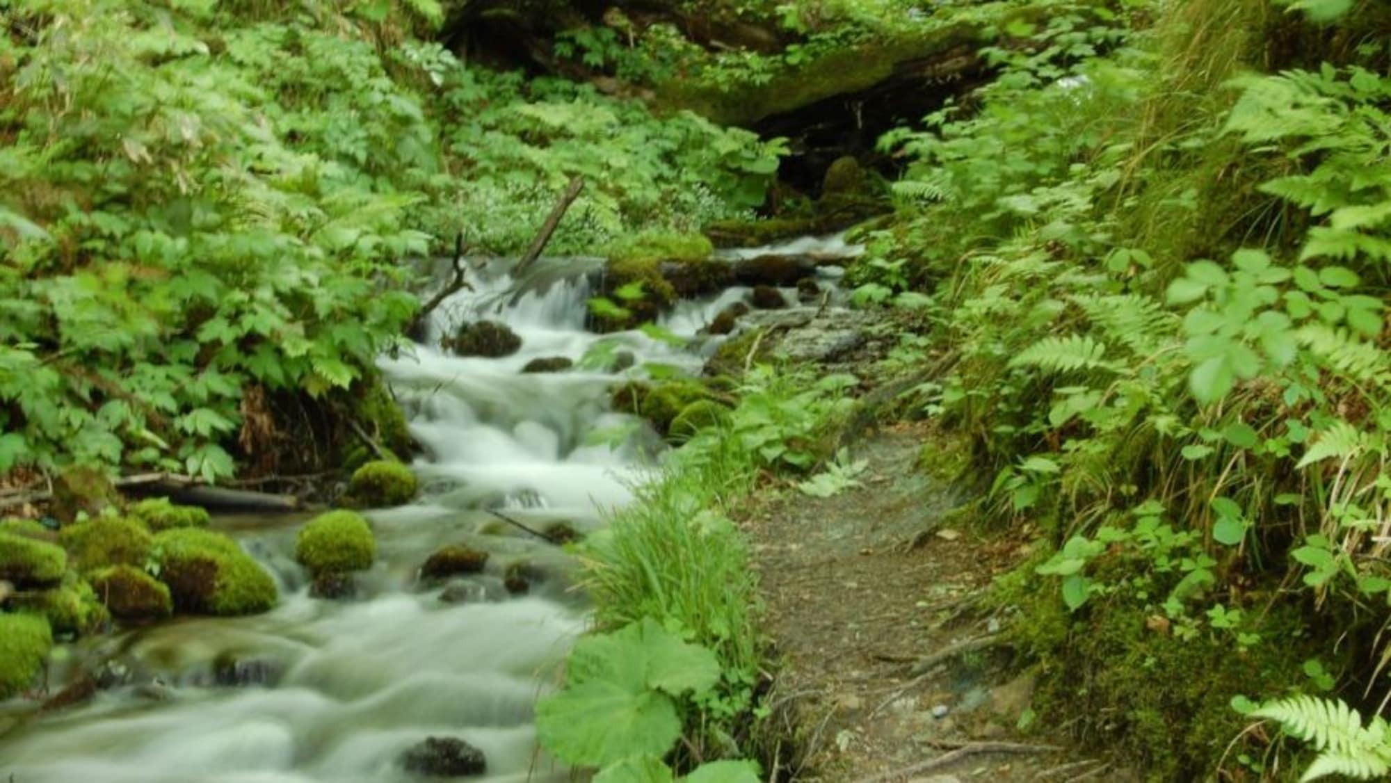 Flow of the boiling pot