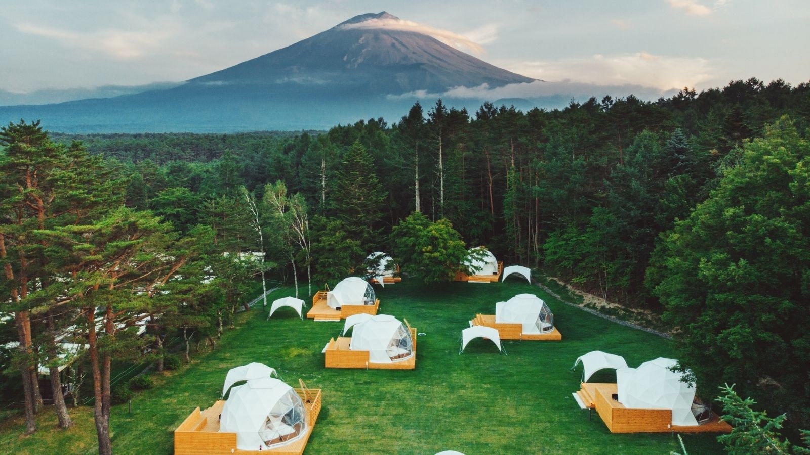 PICA 藤山