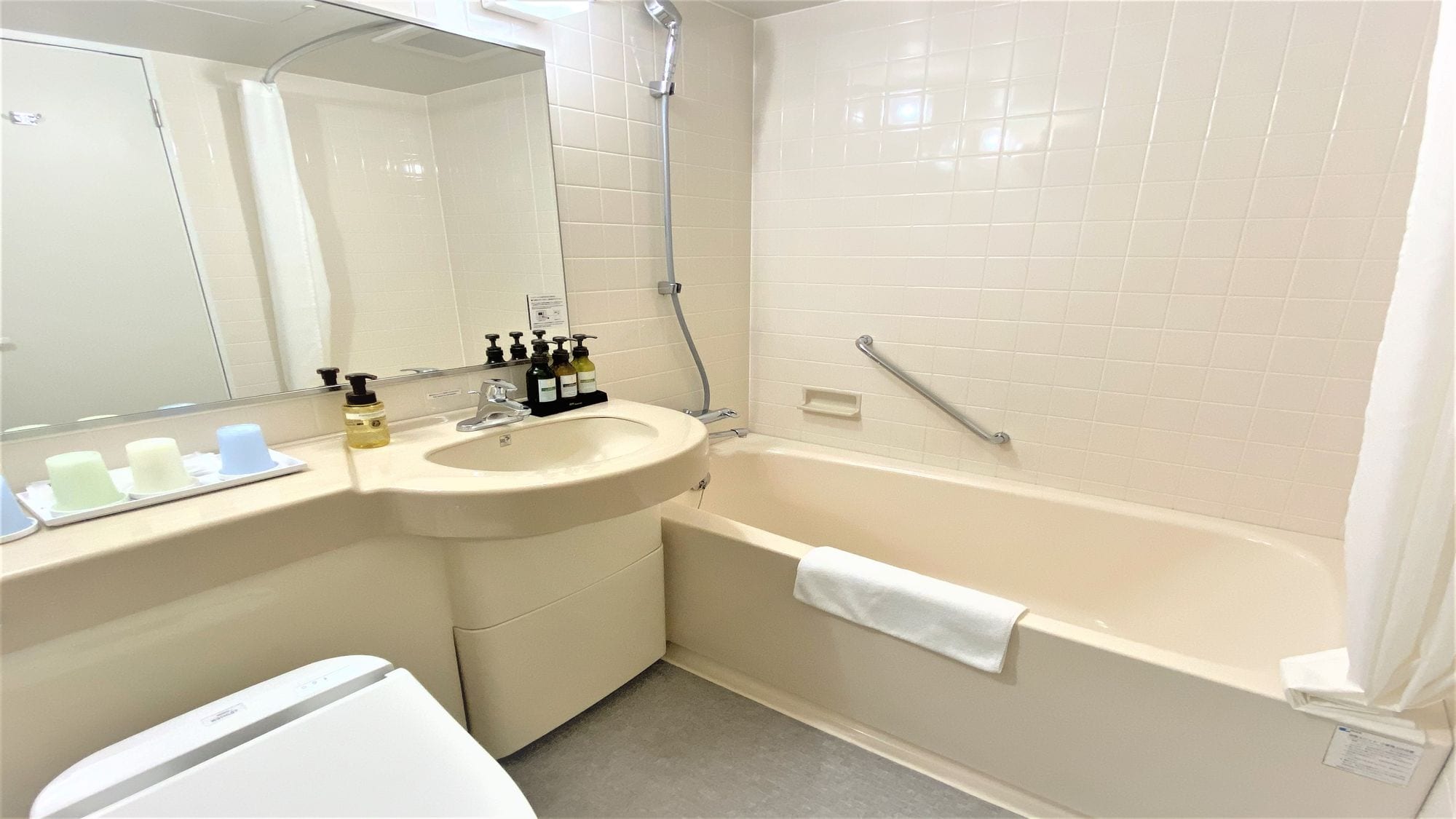Bathroom (Deluxe Triple)