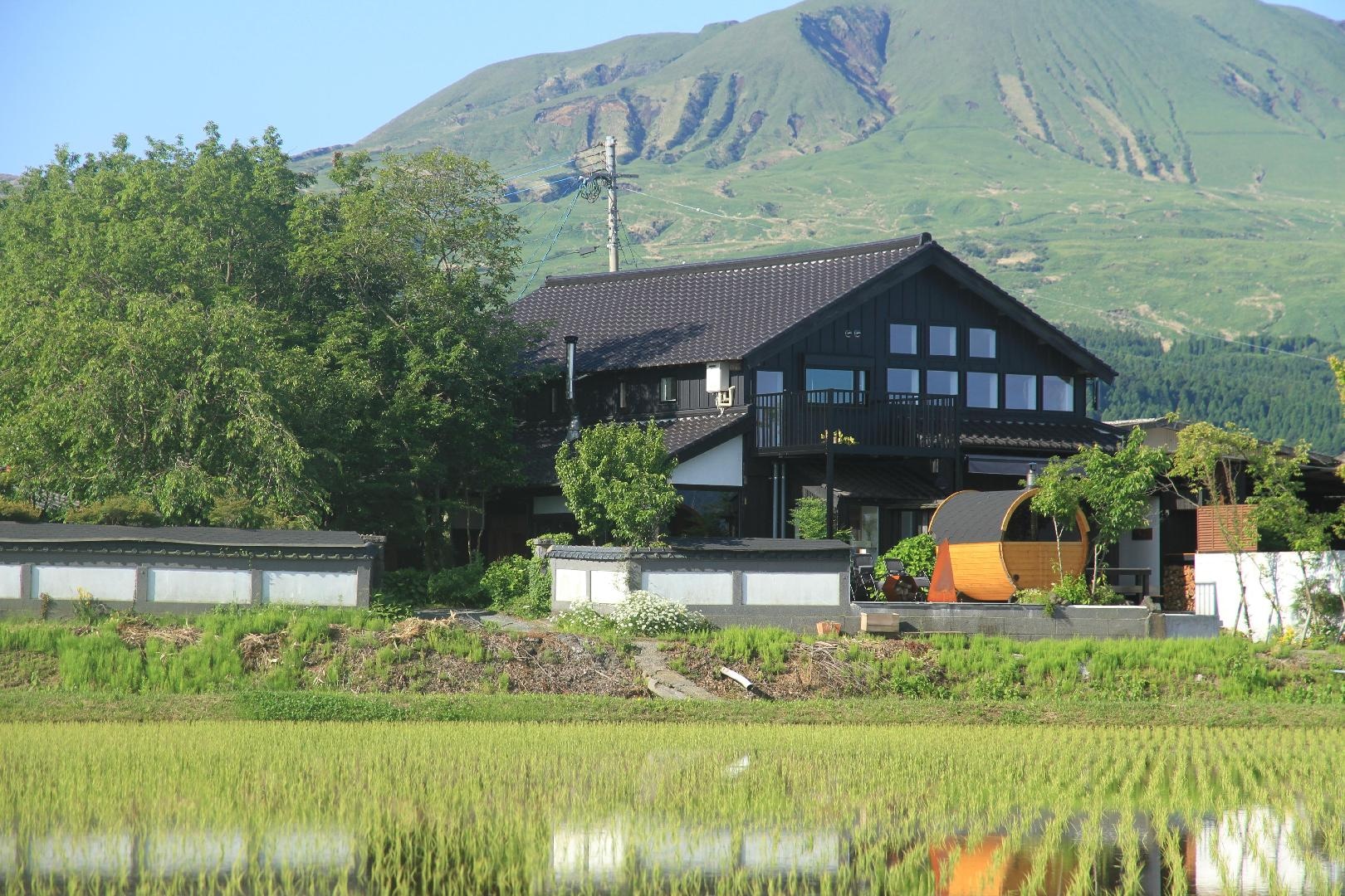 มองไปยังทุ่งนาของฟาร์มของครอบครัว