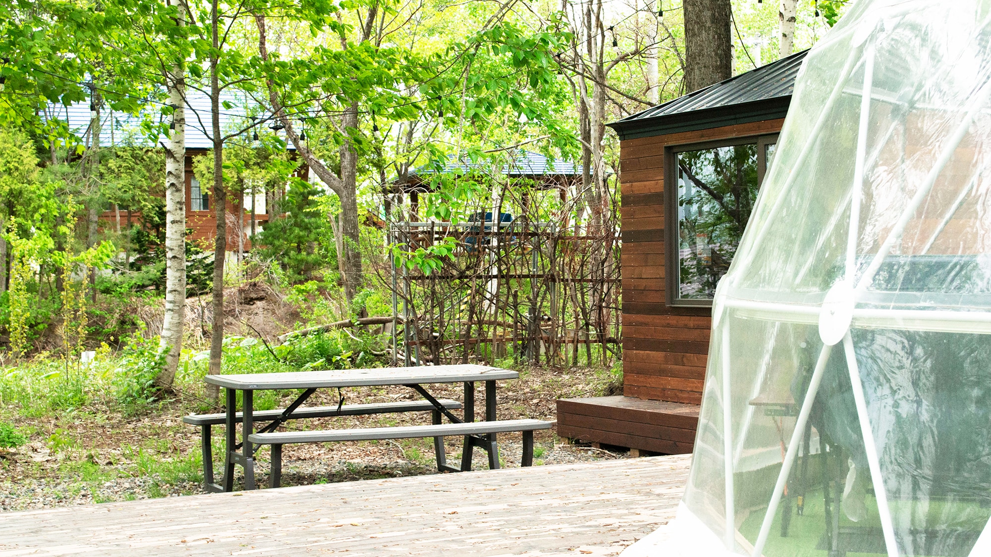 Glamping Dome