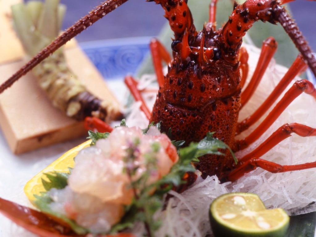 spiny lobster