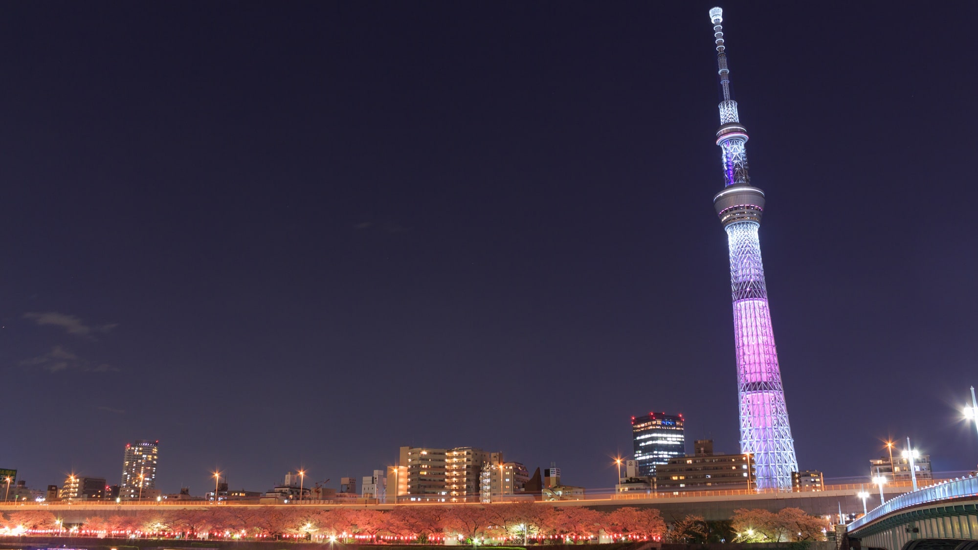 東京晴空塔(R)