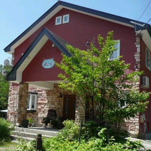 Appearance image