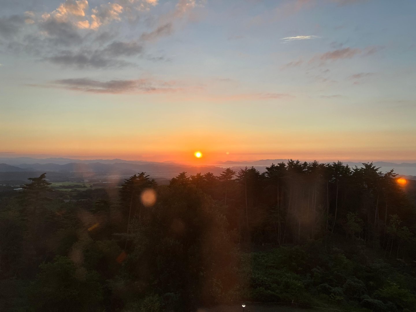 IMG_7536.jpeg