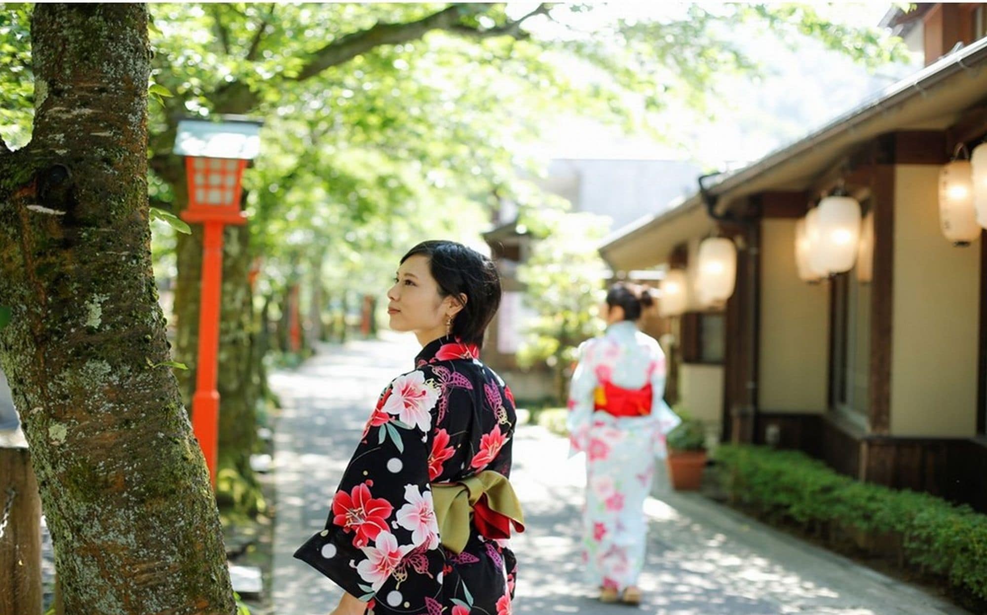 Kiyamachi Alley next to the inn is a place where you can see cherry blossoms in spring, fresh greenery in early summer, and fireflies flying about in June.
